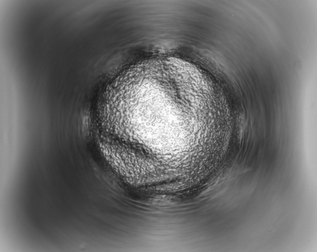X0000094080222200711021519