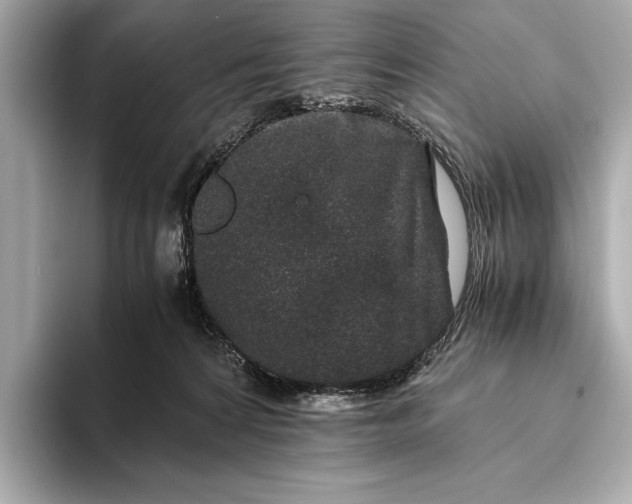 X0000094080224200711021519