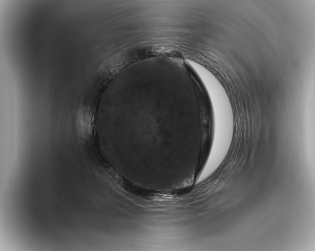 X0000094080227200711021519
