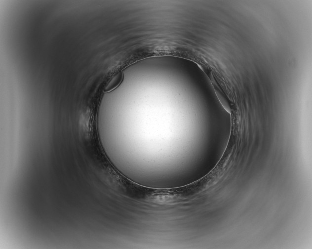 X0000094080228200711021519