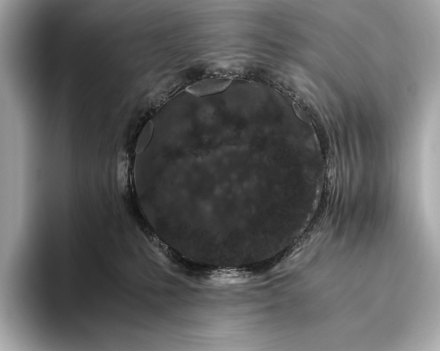 X0000094080231200711021519