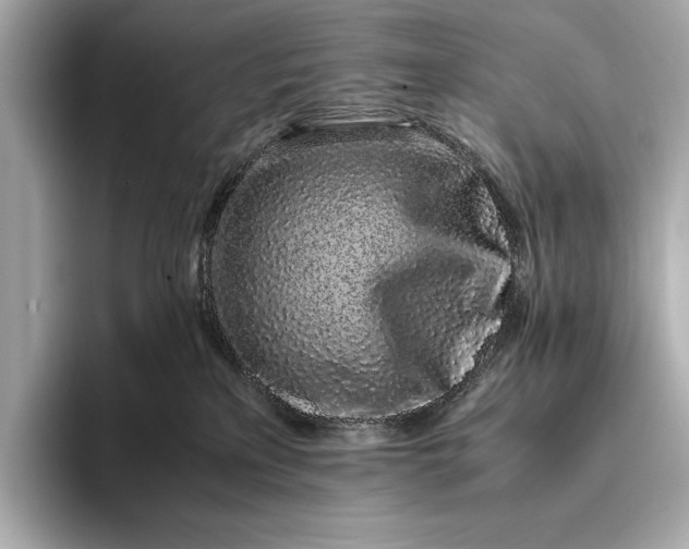 X0000094080233200711021519