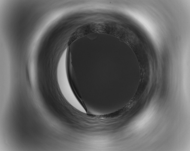 X0000094080239200711021519