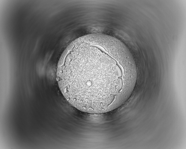 X0000094080240200711021519