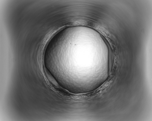 X0000094080241200711021518