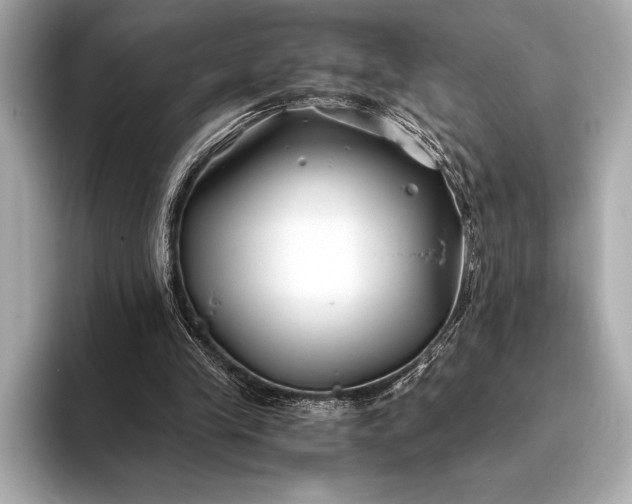 X0000094080245200711021518