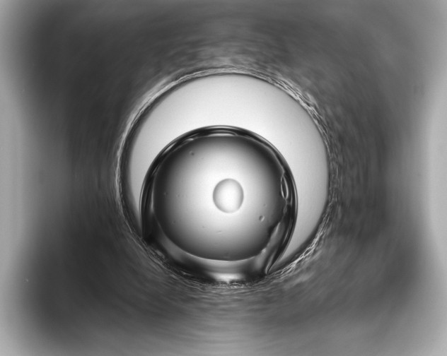 X0000094080248200711021518