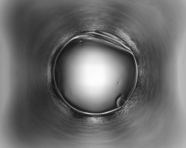 X0000094080250200711021518