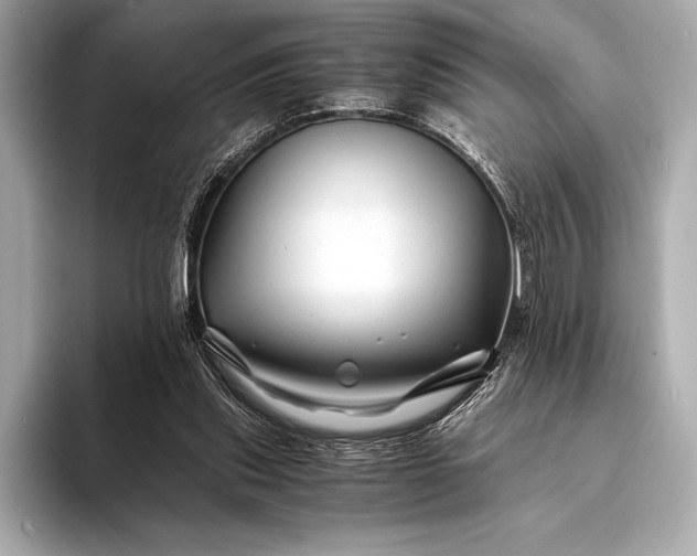 X0000094080253200711021518