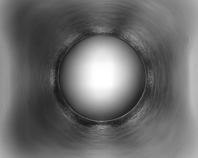 X0000094080255200711021518
