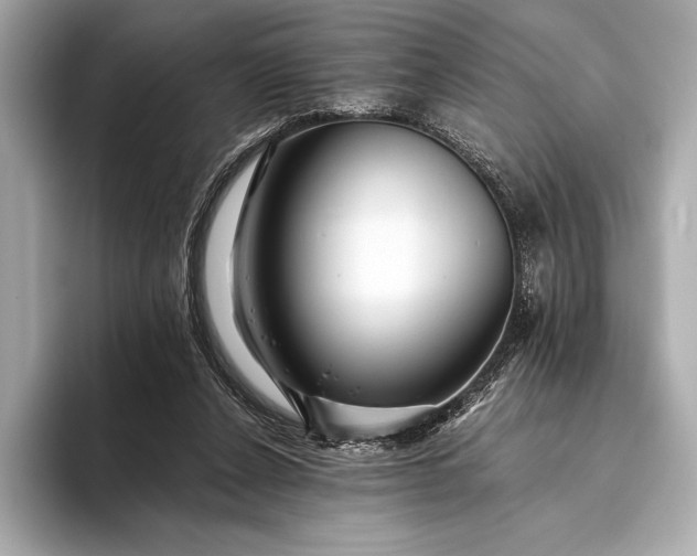 X0000094080256200711021518