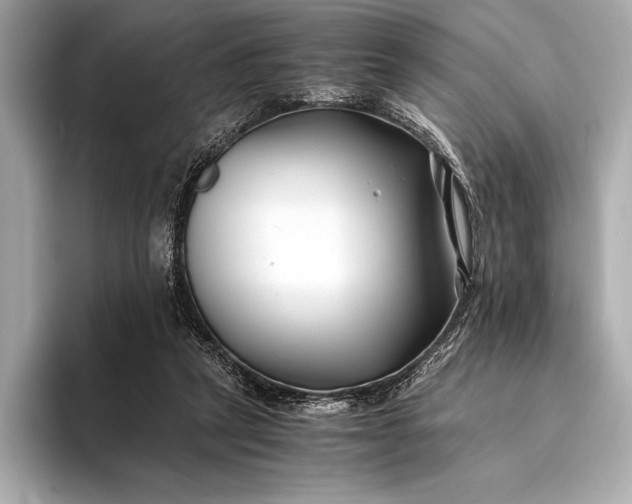 X0000094080257200711021518