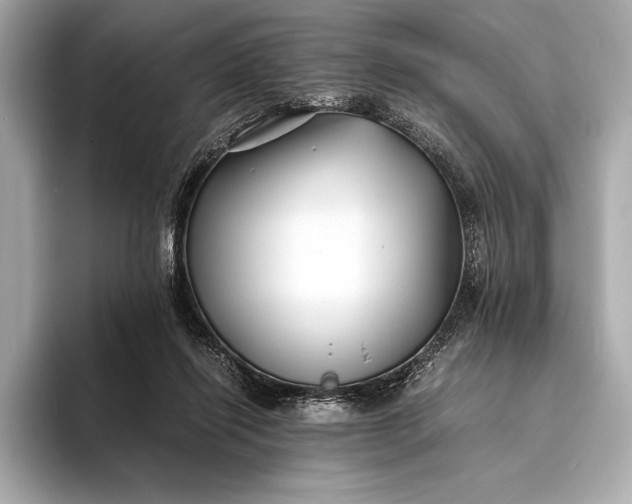 X0000094080262200711021518