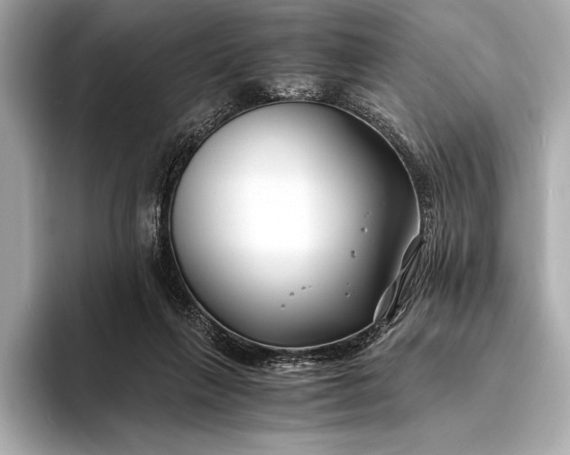 X0000094080263200711021518