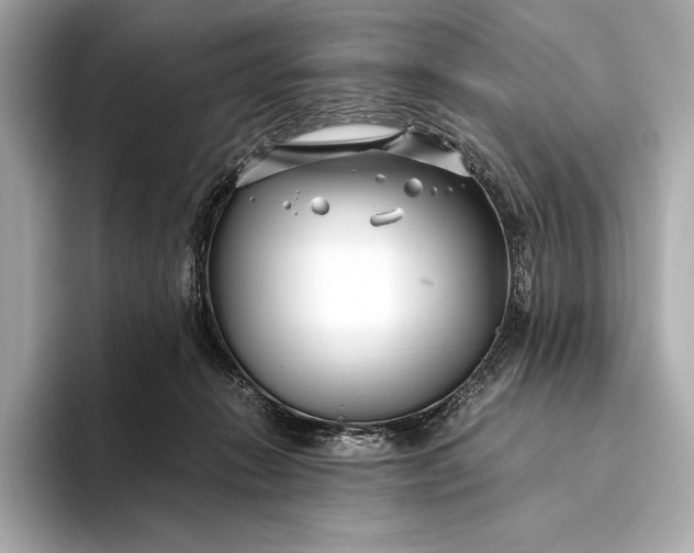 X0000094080270200711021518