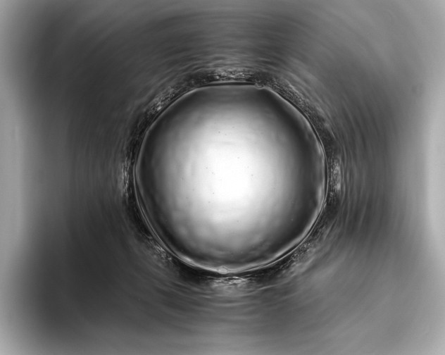 X0000094080271200711021518
