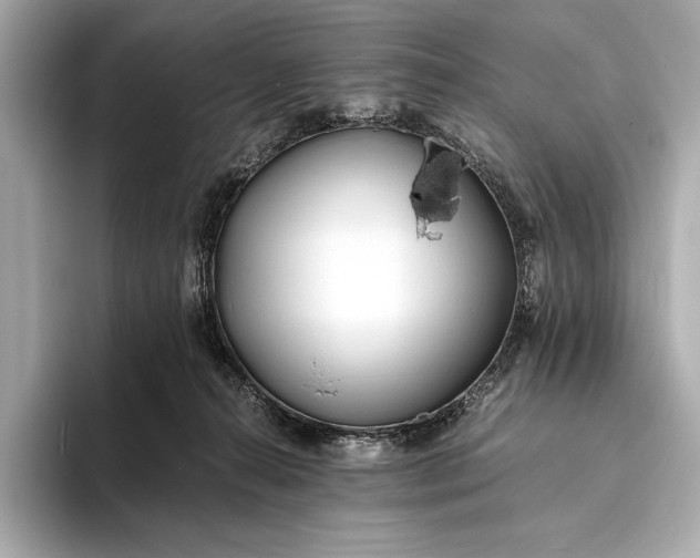 X0000094080272200711021518