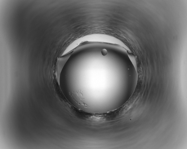 X0000094080280200711021519
