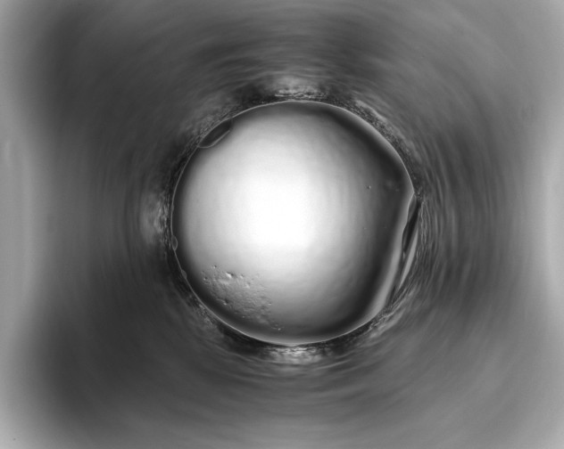 X0000094080281200711021519