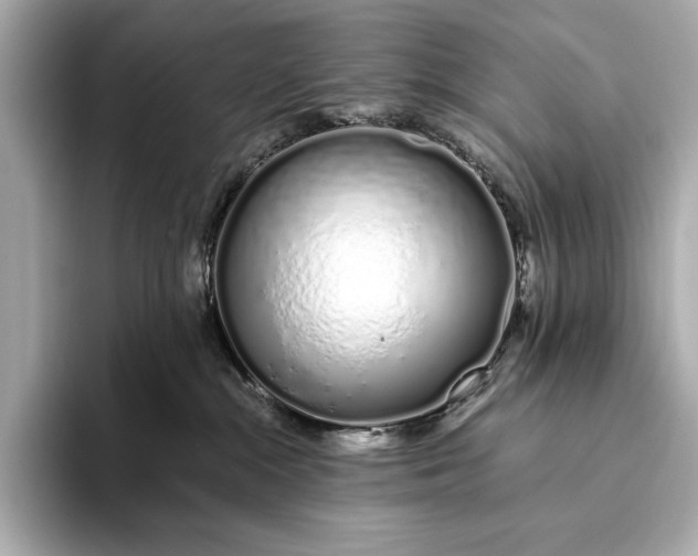 X0000094080284200711021519