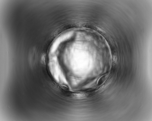 X0000094080286200711021519