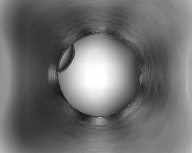 X0000094080287200711021519