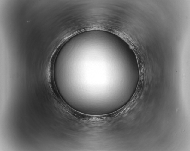 X0000094080290200711021518