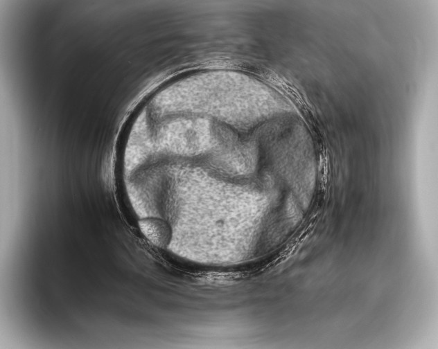 X0000094080292200711021518
