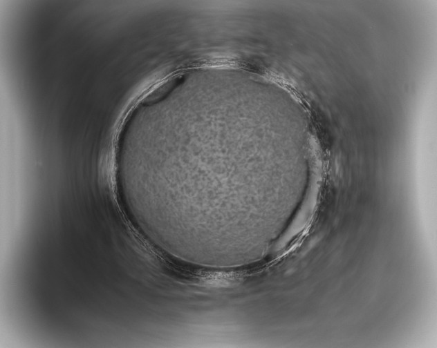 X0000094080293200711021518