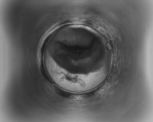 X0000094080295200711021518