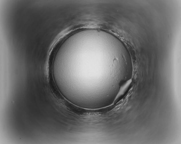 X0000094080296200711021518