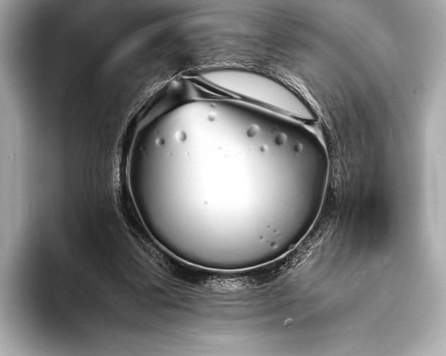 X0000094080299200711021518