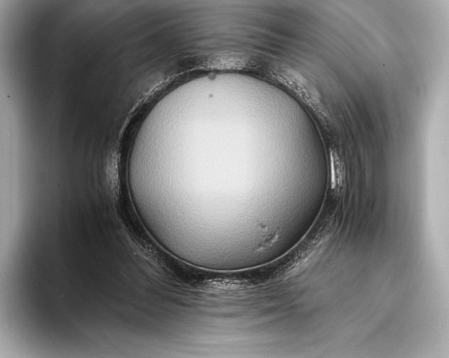 X0000094080300200711021518