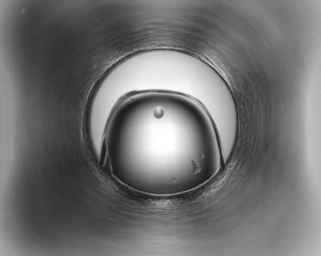 X0000094080301200711021518