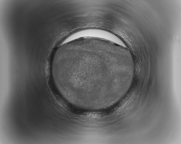 X0000094080303200711021518