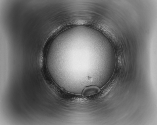 X0000094080304200711021518