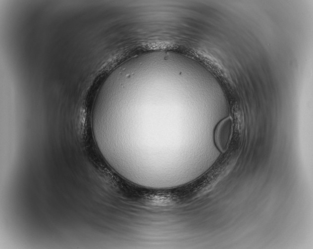 X0000094080308200711021518