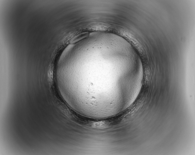 X0000094080309200711021518