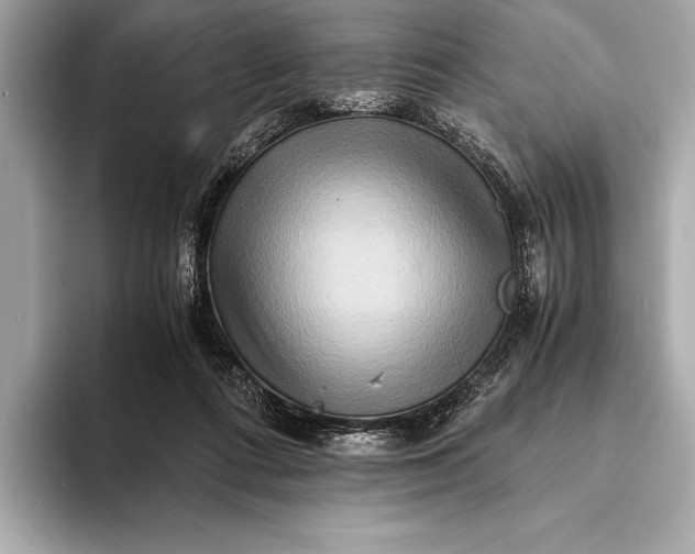 X0000094080312200711021518