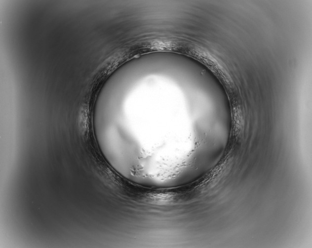 X0000094080313200711021518