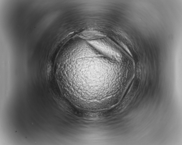 X0000094080314200711021518