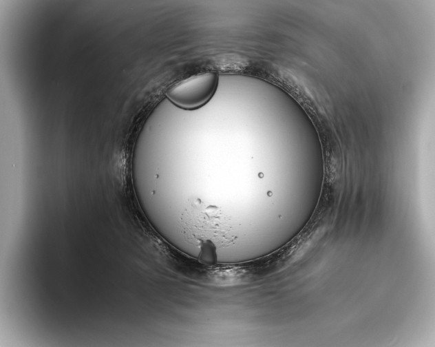 X0000094080321200711021518