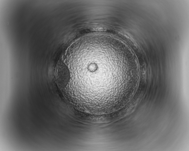 X0000094080322200711021518
