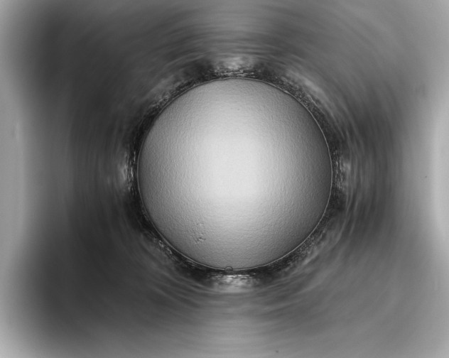 X0000094080324200711021518
