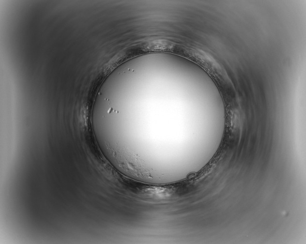 X0000094080326200711021518