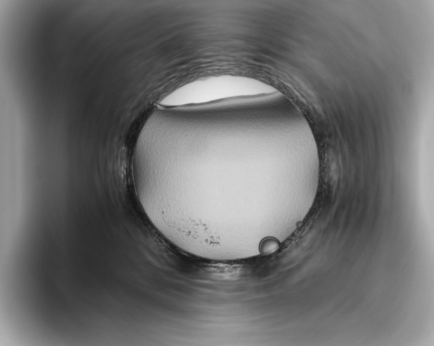 X0000094080328200711021518