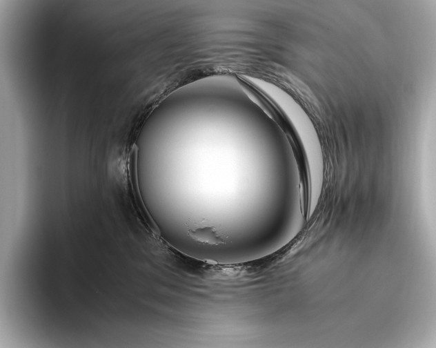 X0000094080329200711021518