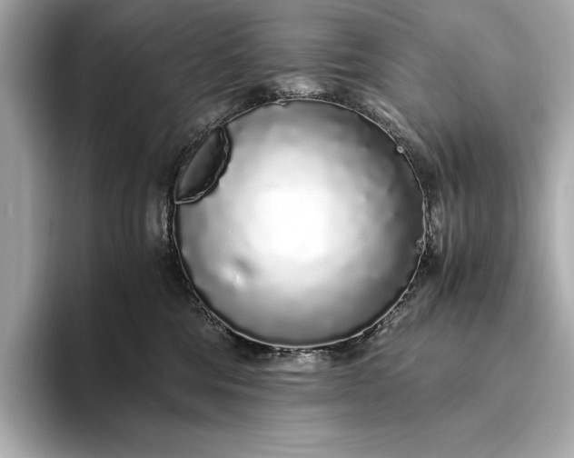 X0000094080330200711021518