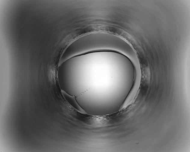 X0000094080333200711021518