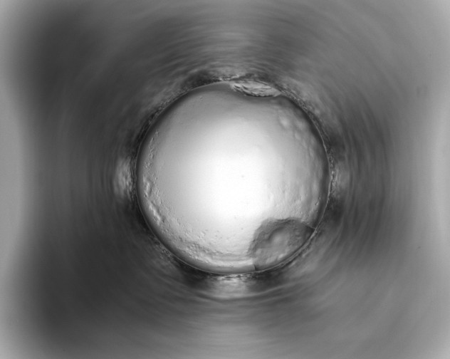 X0000094080335200711021518